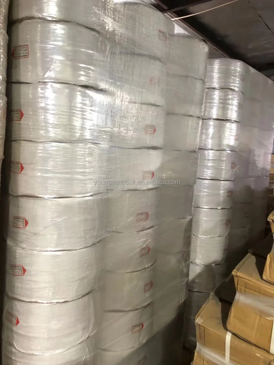 12*0.6 PP Straps PP Band Straps Polyester Strapping Band