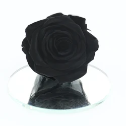 yunnan factory wholesale grade a 5-6 cm dried preserved flower roses  head eternity rose