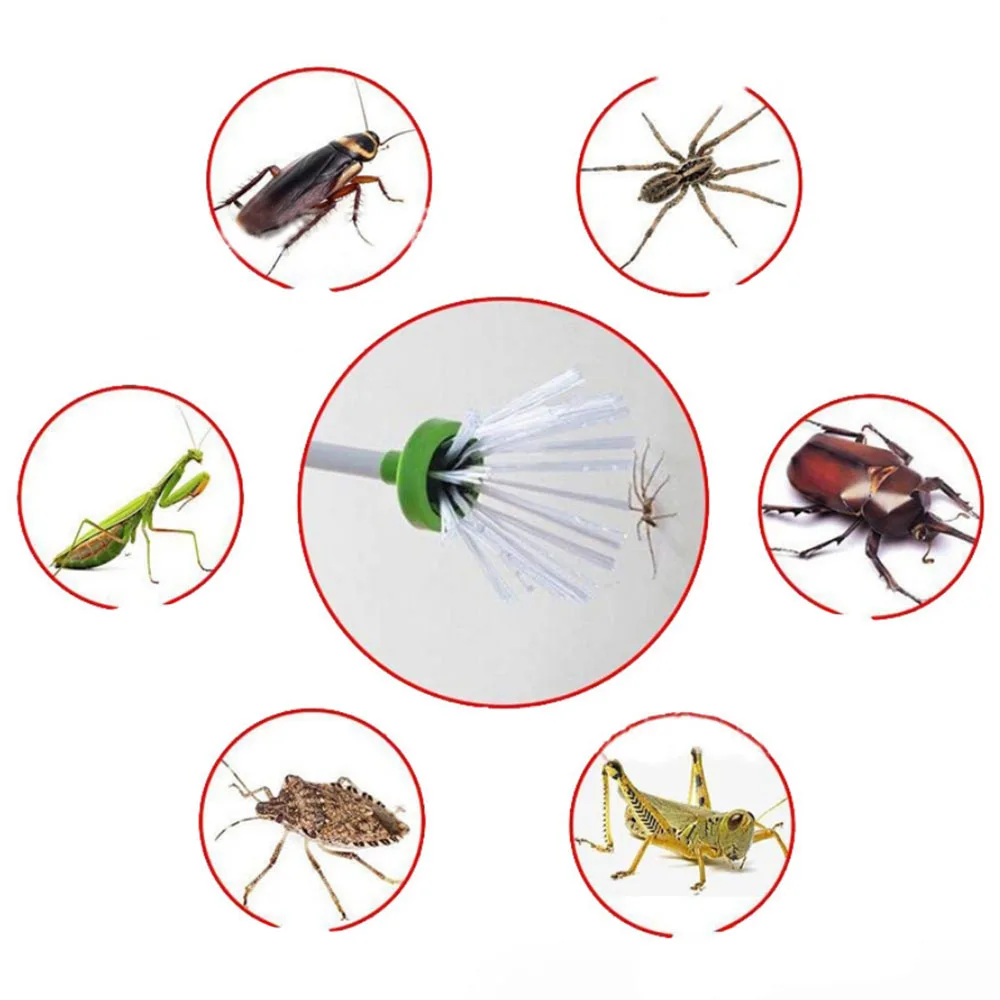 SCK505 fly and Critter Catcher Creative Insect Bug Humane Friendly Trap Catching Spider Roaches Scorpions Flies Crickets