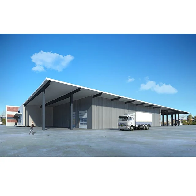 Steel Structure Hangar Warehouse Prefabricated Construction Store Warehouse Building