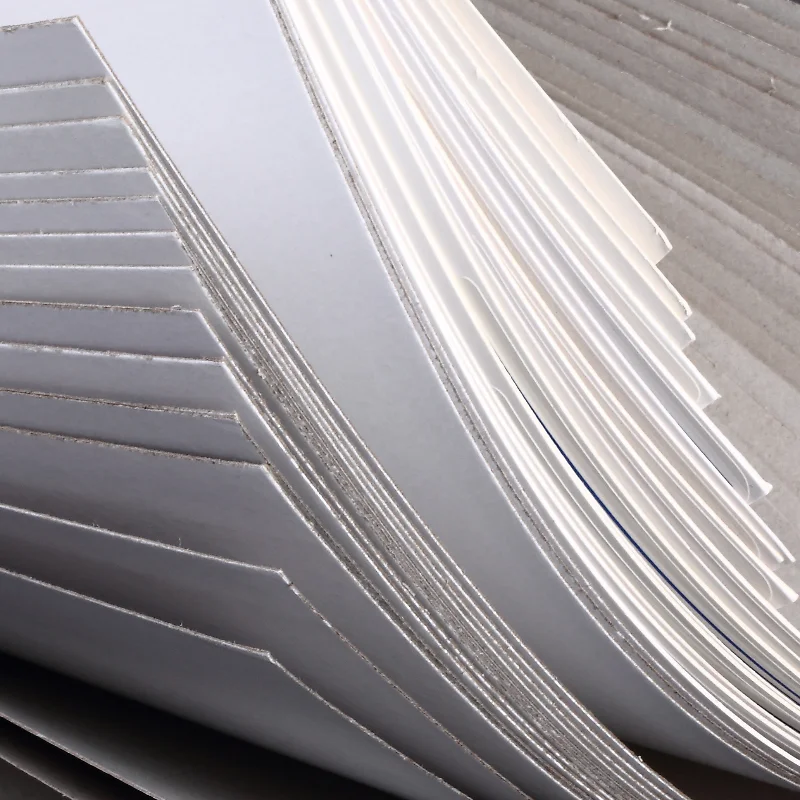 
Duplex Board Paper China Manufacture Duplex Board Back White Paper Market Protect 230g 