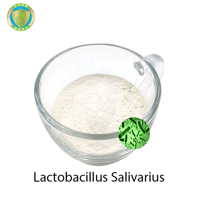 Factory Price Raw Materials HACCP ISO22000 probiotics powder OEM Lactobacillus Salivarius 10Bcfu