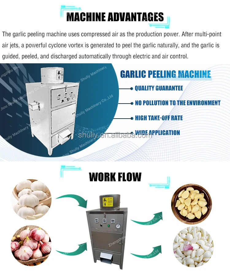 Professional Garlic cashew shell peeling machine peeler garlic