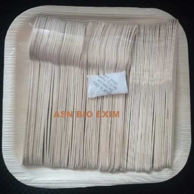 Высококачественные тарелки areca из пальмовых листьев экологически чистые биоразлагаемые квадратные Индии