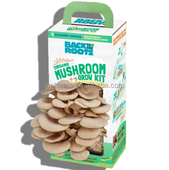 customized  Oyster Mushroom Growing Kit Boxes Paper Cardboard Packaging Box for Mushroom Growing