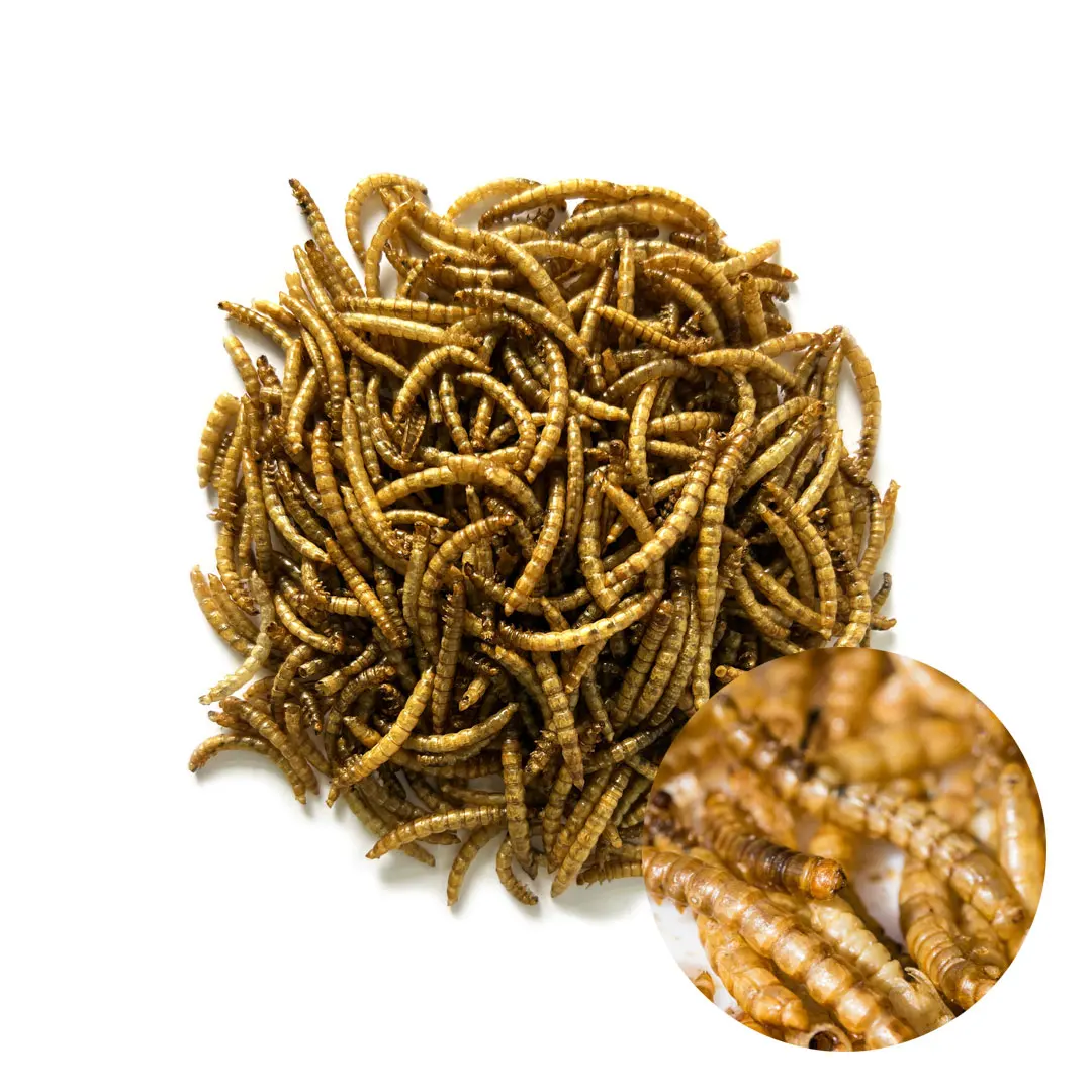 Cheap Soybean/soy Bean/soya Mealworm (bsf) Meal With High Protein