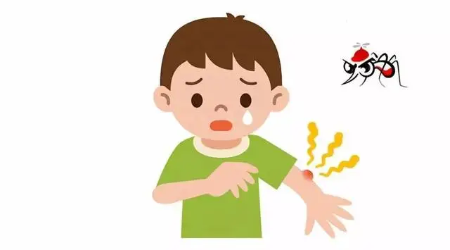 Insecticide essential oil summer natural plant essential oil repel mosquito insect control