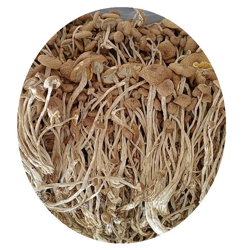 Factory Wholesale Dried Agrocybe Aegerita Dried Mushroom for Eating Dried Tea Tree Mushroom Organic Food Customized Packaging