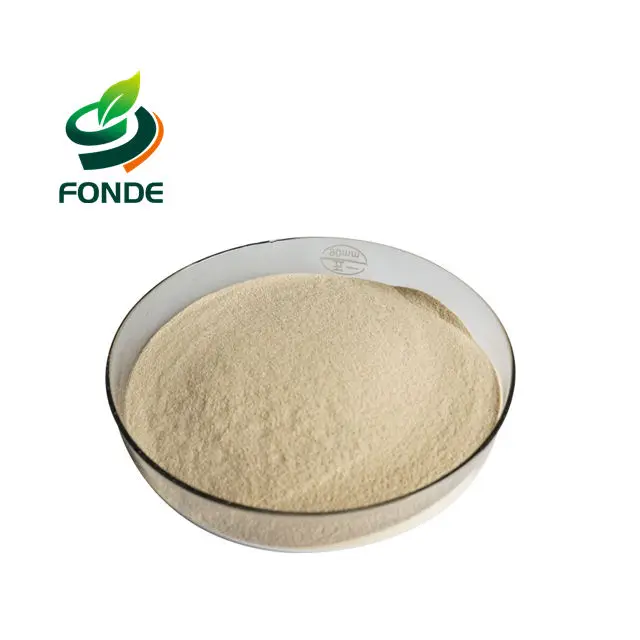 
Factory supply Alcalase,alkali protease,alkaline protease bulk powder 