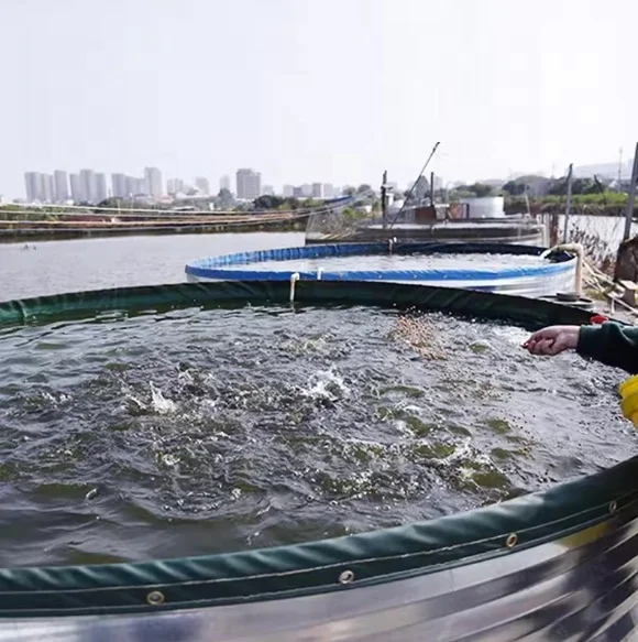 Round Hot Galvanized Steel Flexible Fish Farm Pond With Pvc  Liner Recirculating Aquaculture System Fish and Shrimp Pond