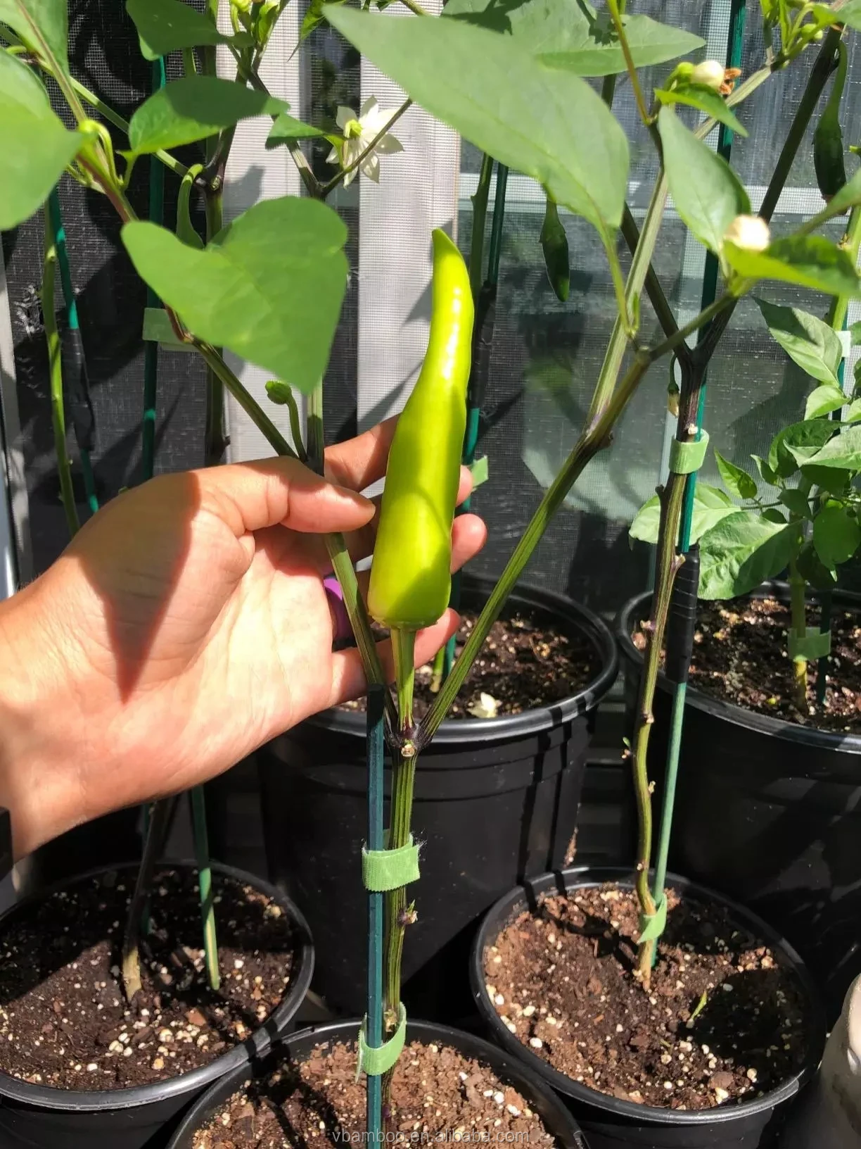 flower sticks 002.jpg