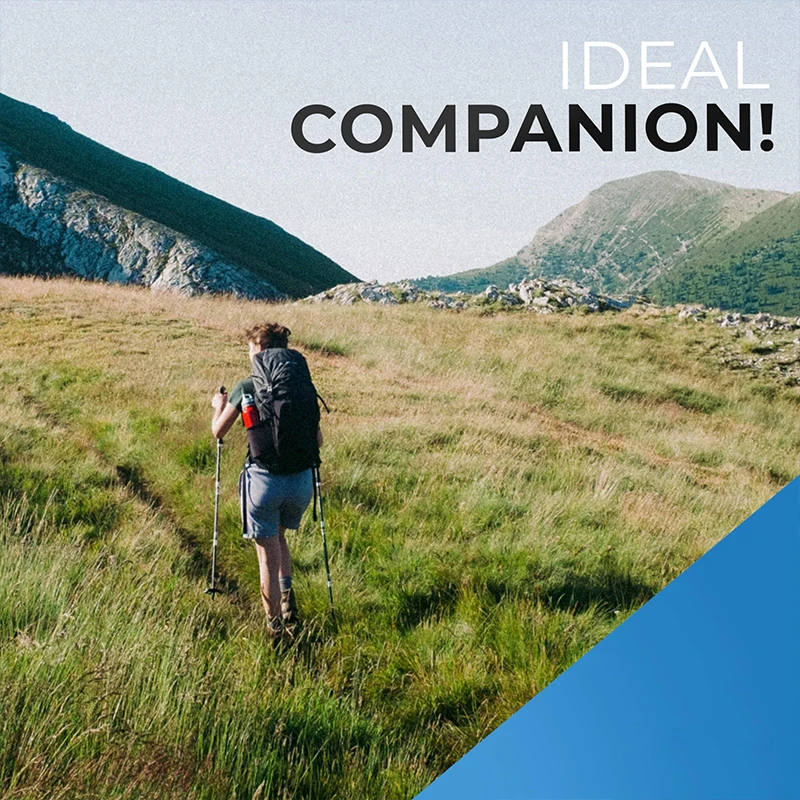 Factory Direct Sale Price Folding Quick Lock Hiking PolesTrekking Poles