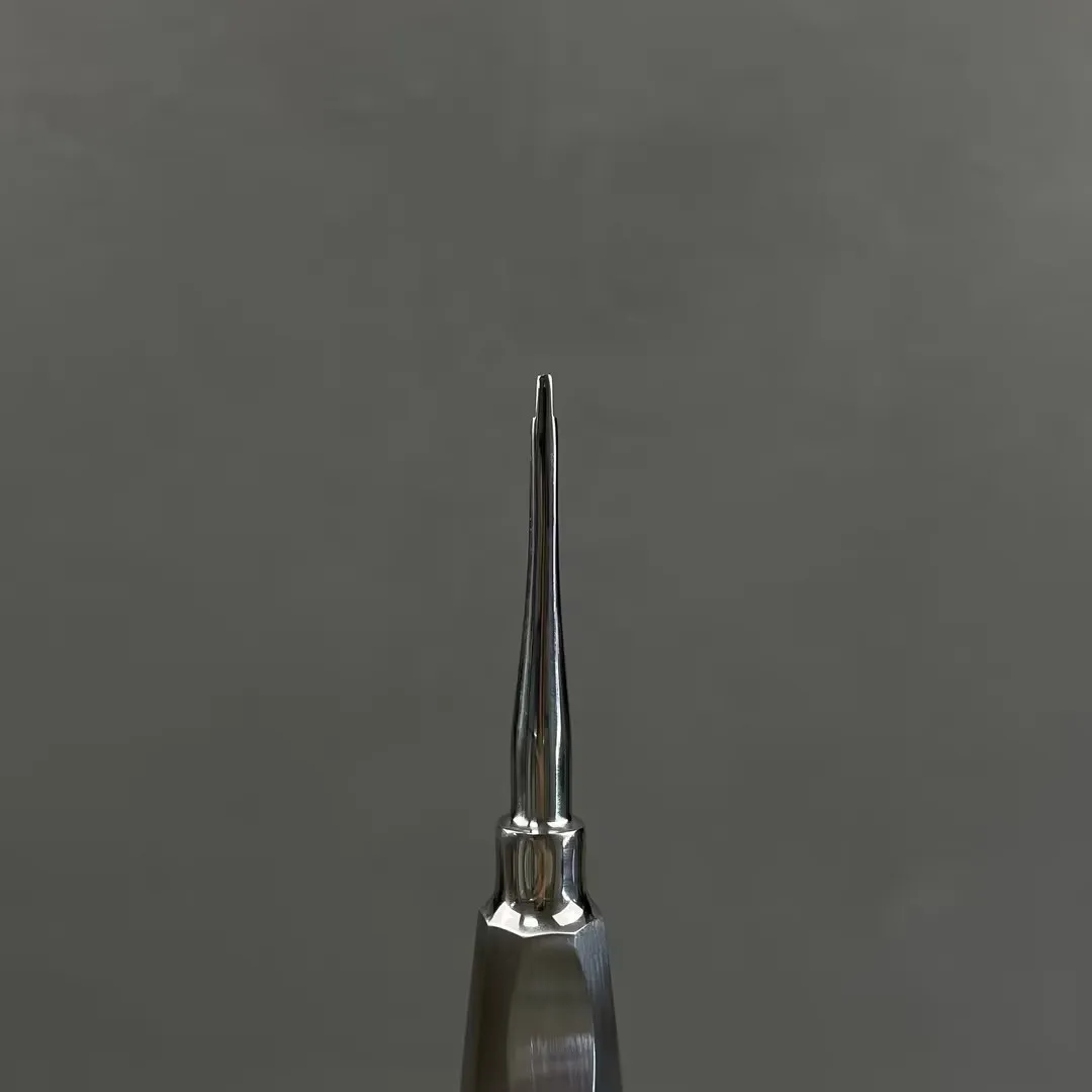 Root Elevator Str Steel Dentist Surgical Instrument Tool Dental Lift Root Elevator Dentistry Tools