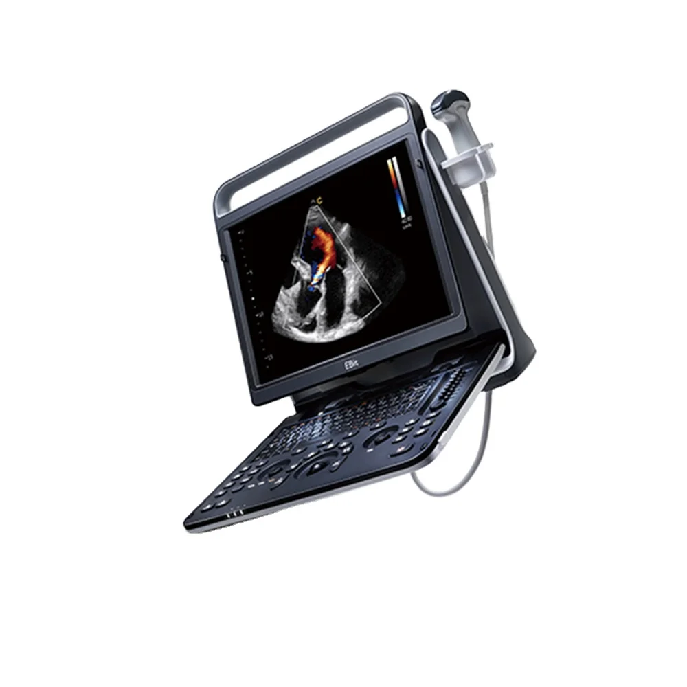 EBit60 портативный цветной ультразвук 4D для ветеринарии, собак, кошек, лошадей, дисплей 15,1 дюйма, 500 Гб