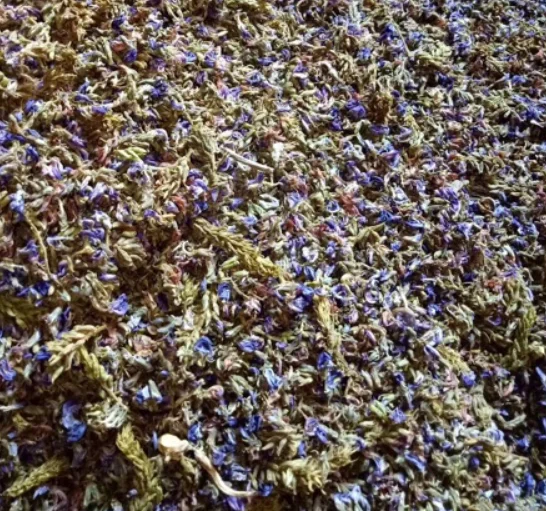 
High quality natural raw dried Flower of Kudzuvine flos puerariae 