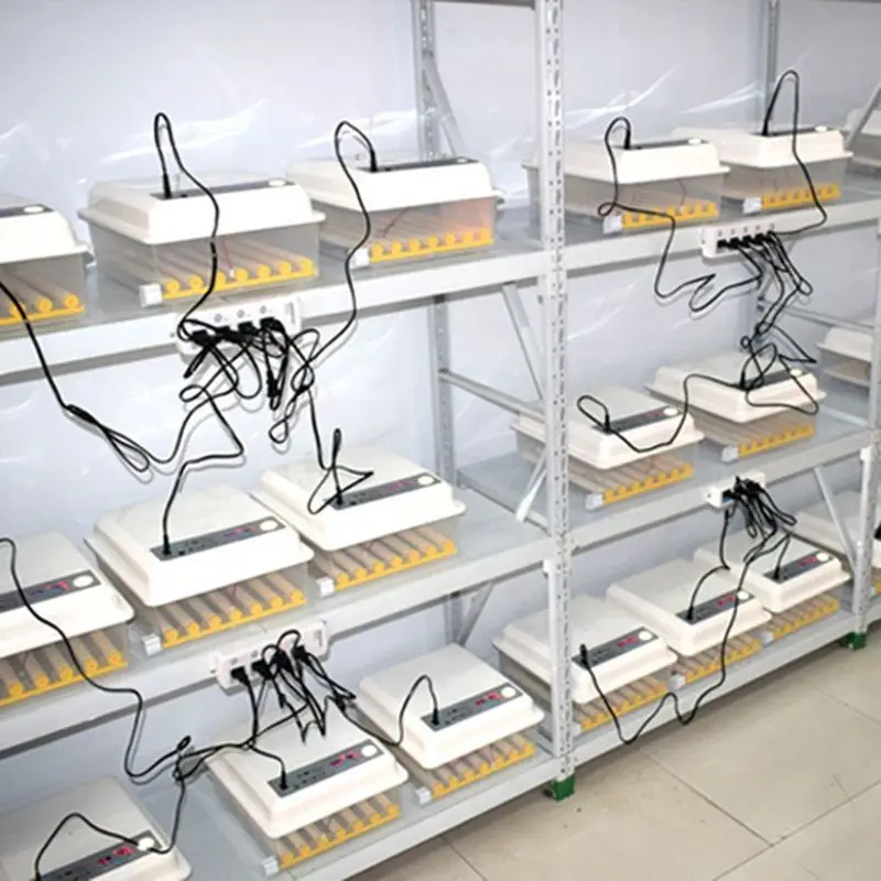 5pcs duck egg Dual Power Supply Medium-sized Automatic incubator