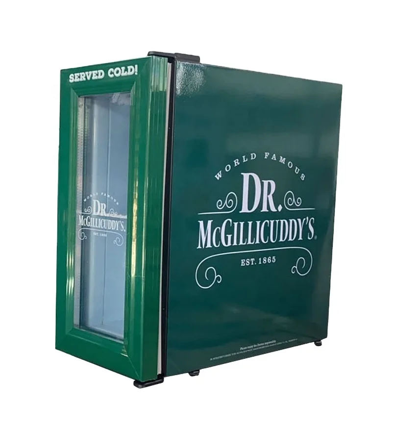 Mini Mobile Vertical Display Freezer with Glass door