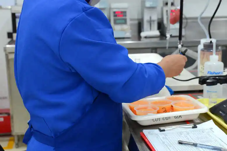 Crushed Aloe Vera in Aloe Vera Juice