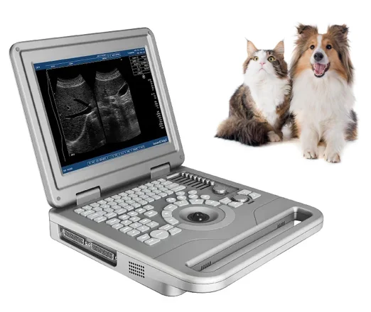 Medical 12 inches High Quality Laptop Ultrasonic Full Digital Ultrasound Machine for Veterinary