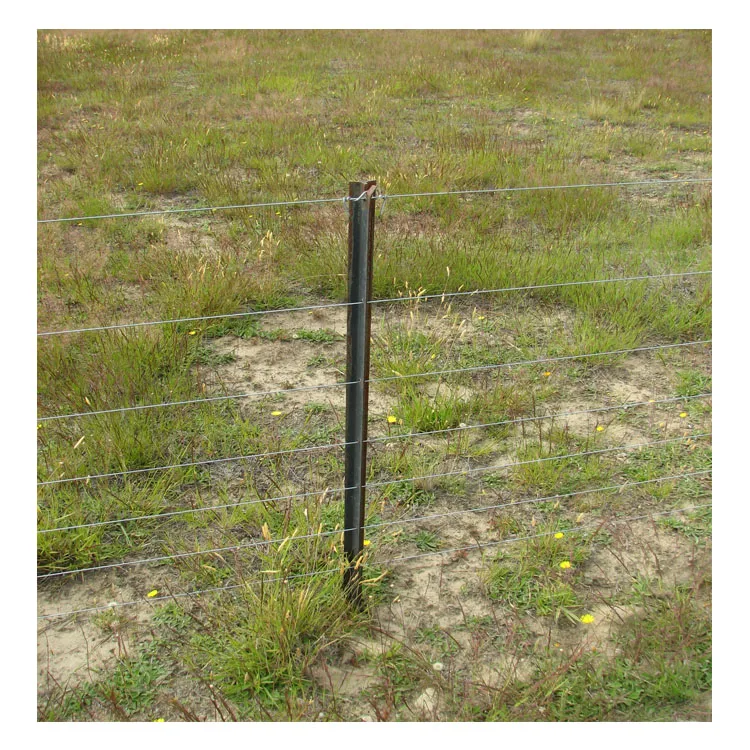 Powder coated black green or hot dip galvanized y type star field fence post y type post australian standard y post