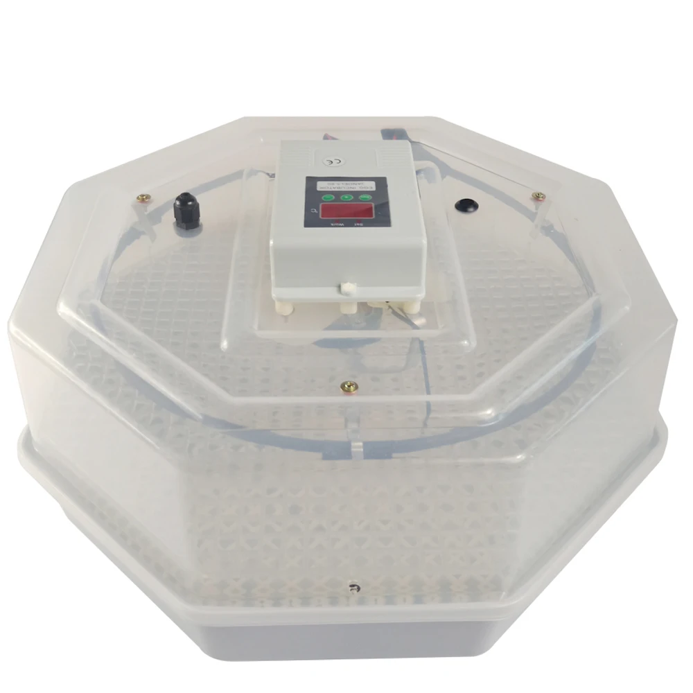 egg incubator temperature humidity controller jn5-60 for sale