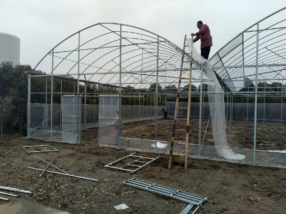 
vegetable fruit agriculture greenhouse farm for sale 