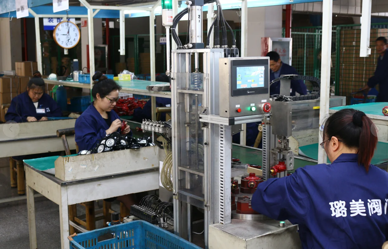 Lpg бытовые клапаны с ISO9001-2008