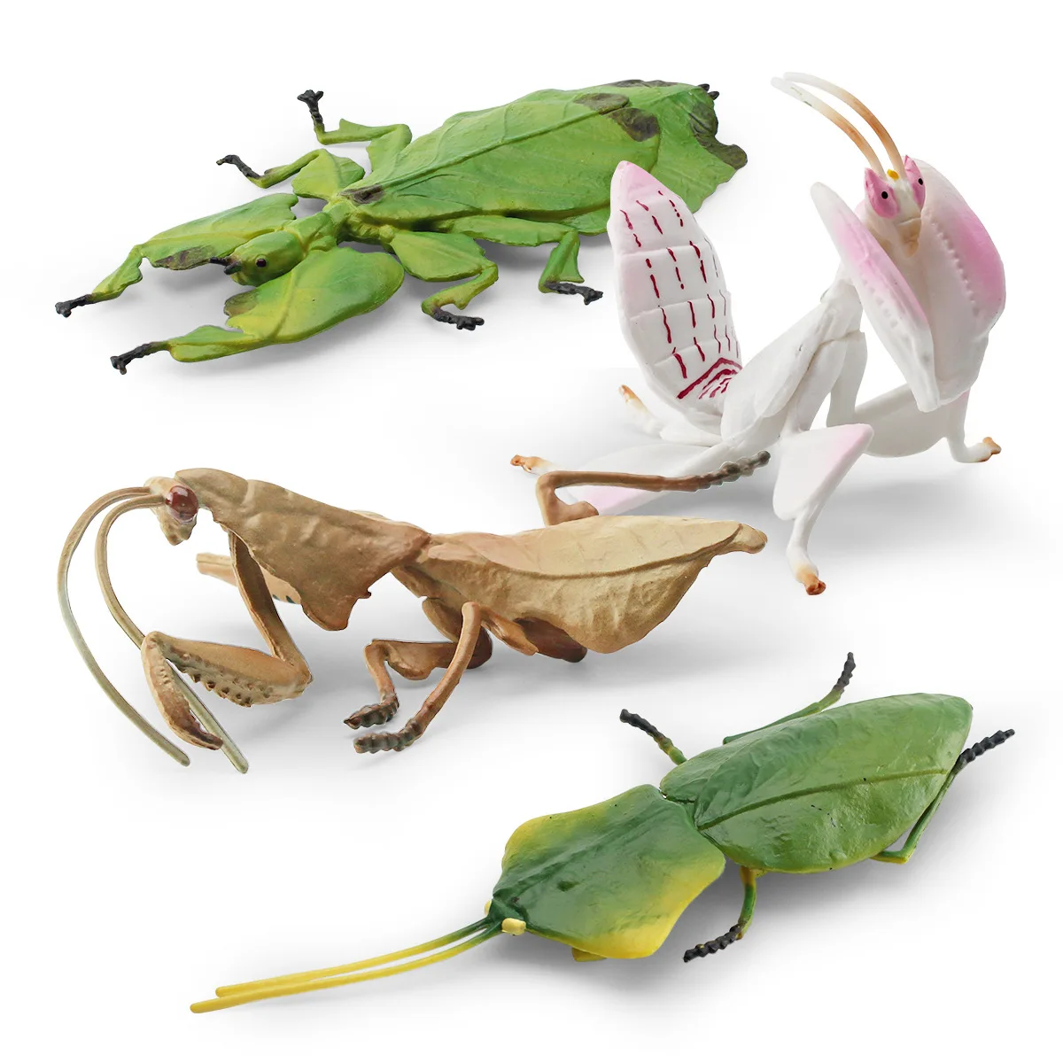 simulation of insect animal model Mantis Skelleri leaf  orchid mantis decoration