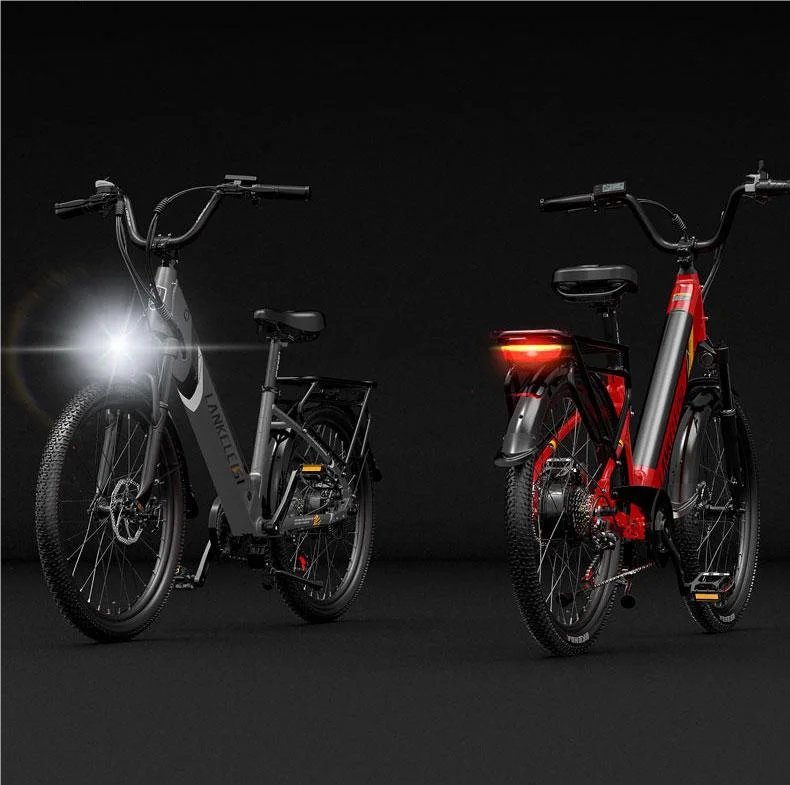 24inch Fat Tire Electric Bike Manufacturer Customized 500w 48V 16Ah Ebike Mountain Dirt Bicycle with Lithium Battery