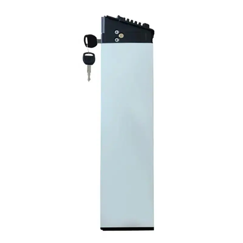 High quality Down Tube Silver Fish Li-ion Ebike Battery 36v Ebike Battery Silverfish