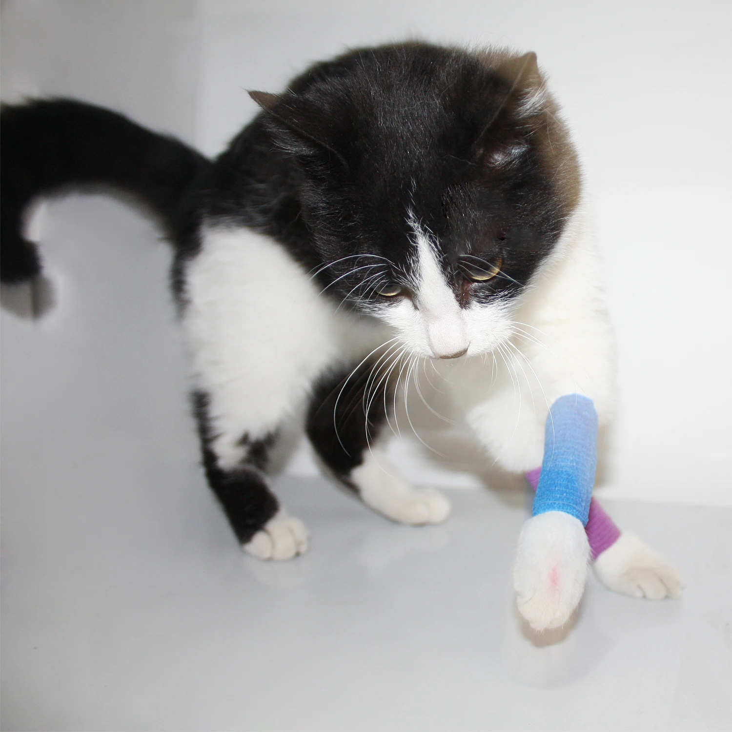 crepe 100% brown cohesive elastic bandage cotton