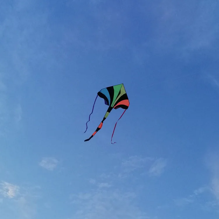 promotional Huge Kite With String And Handle Novelty Toy Kites Flying For Gift