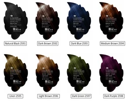 Home Use FastColor Mousse No Ammonia Black Hair Dye Permanent Hair Color Dye Spray