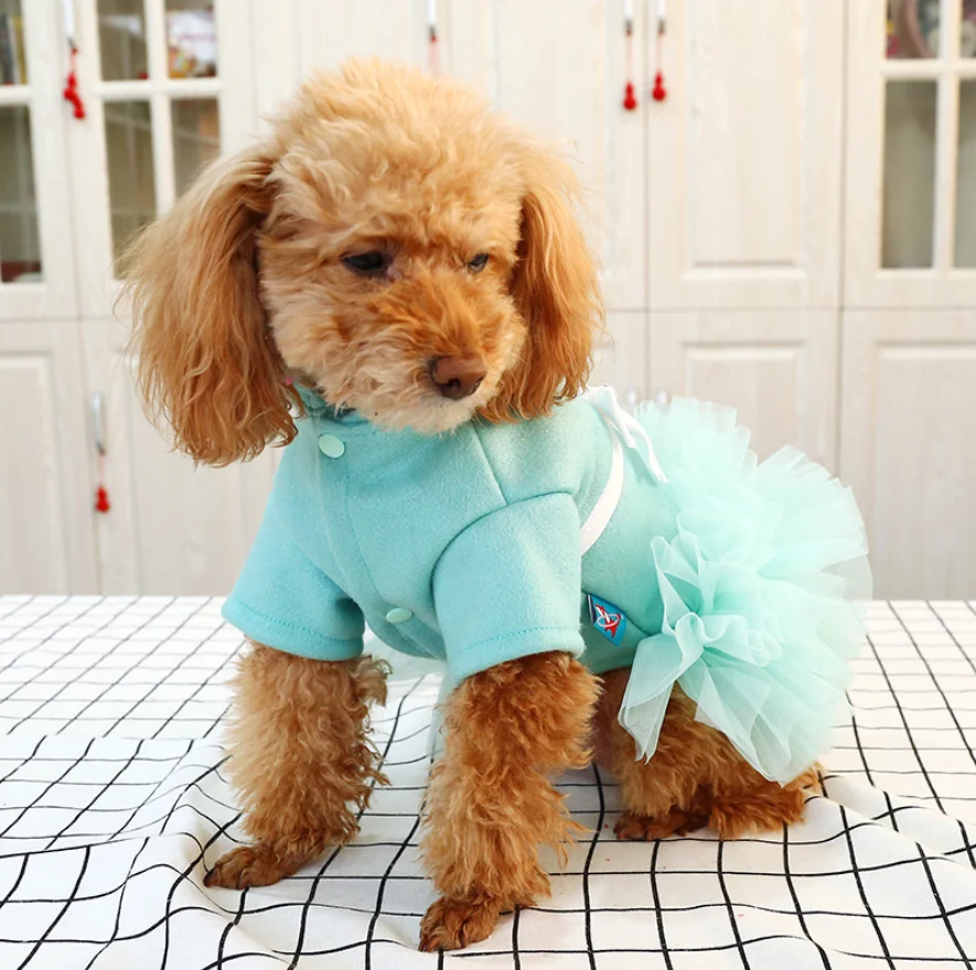 Warm Pet Clothes Wholesale Blue Cute Net Yarn Princess Dog Dress Brand Designer
