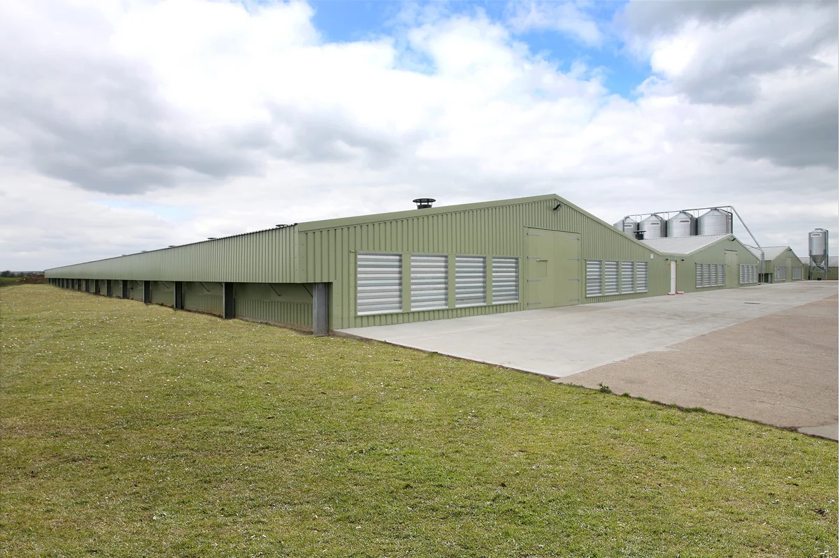 Steel Structure Egg Chicken House Sandwich Panel Chicken Broiler House Design