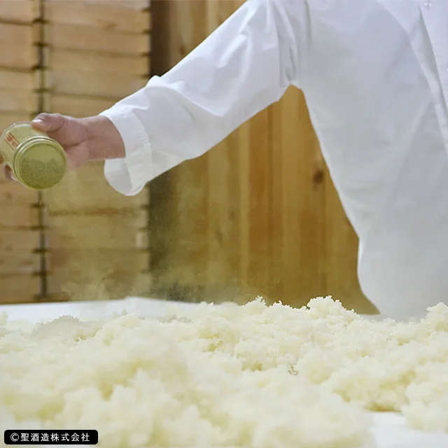 Japanese rich fragrant flavor sake drink wine alcoholic beverage gift