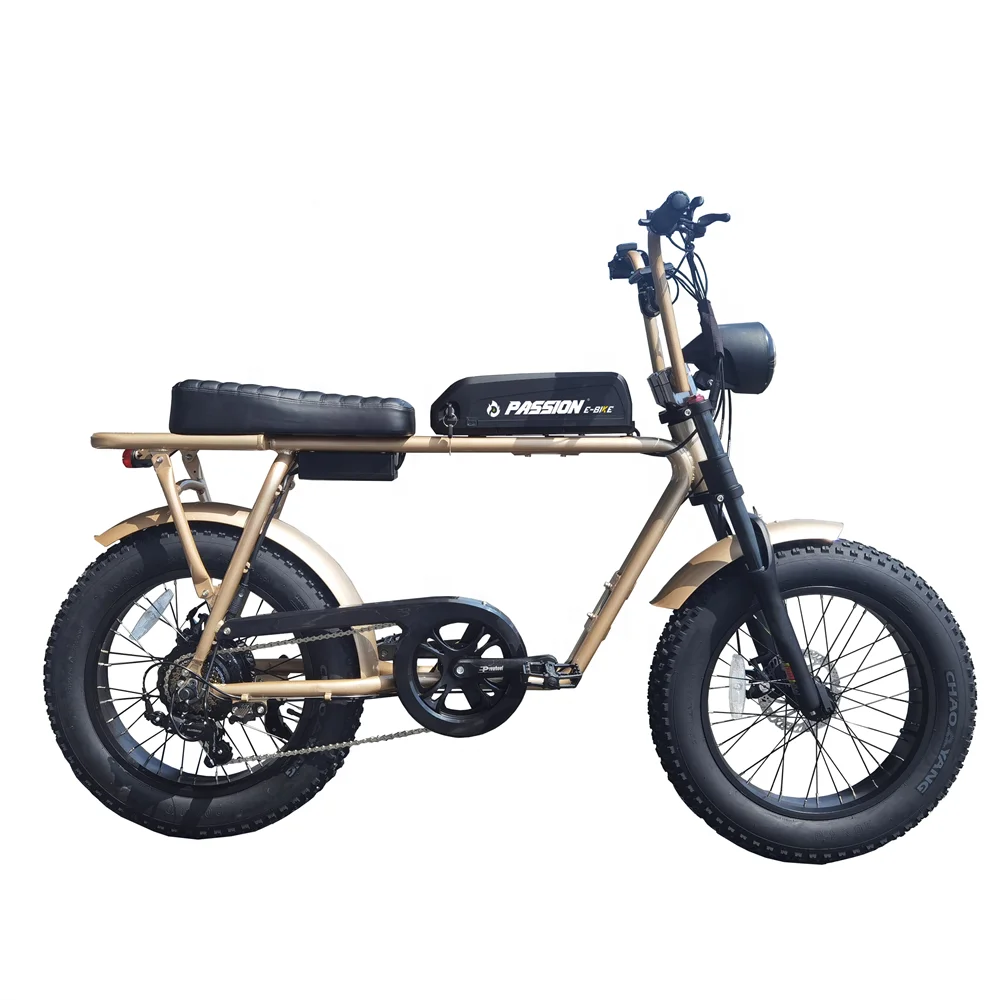 Fast Delivery 20Inch Electric Fat Tire Bike 750W Bafang Rear Motor Snow Beach Super Ebike Electric Bicycles 73