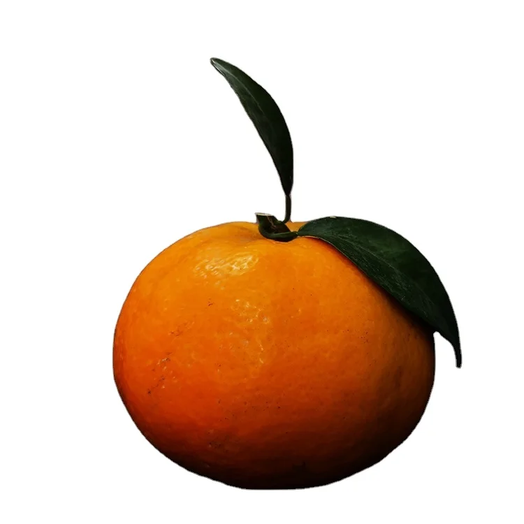 
Factory direct sale of fresh grass cultivation, high-quality fresh citrus, sweet and juicy 