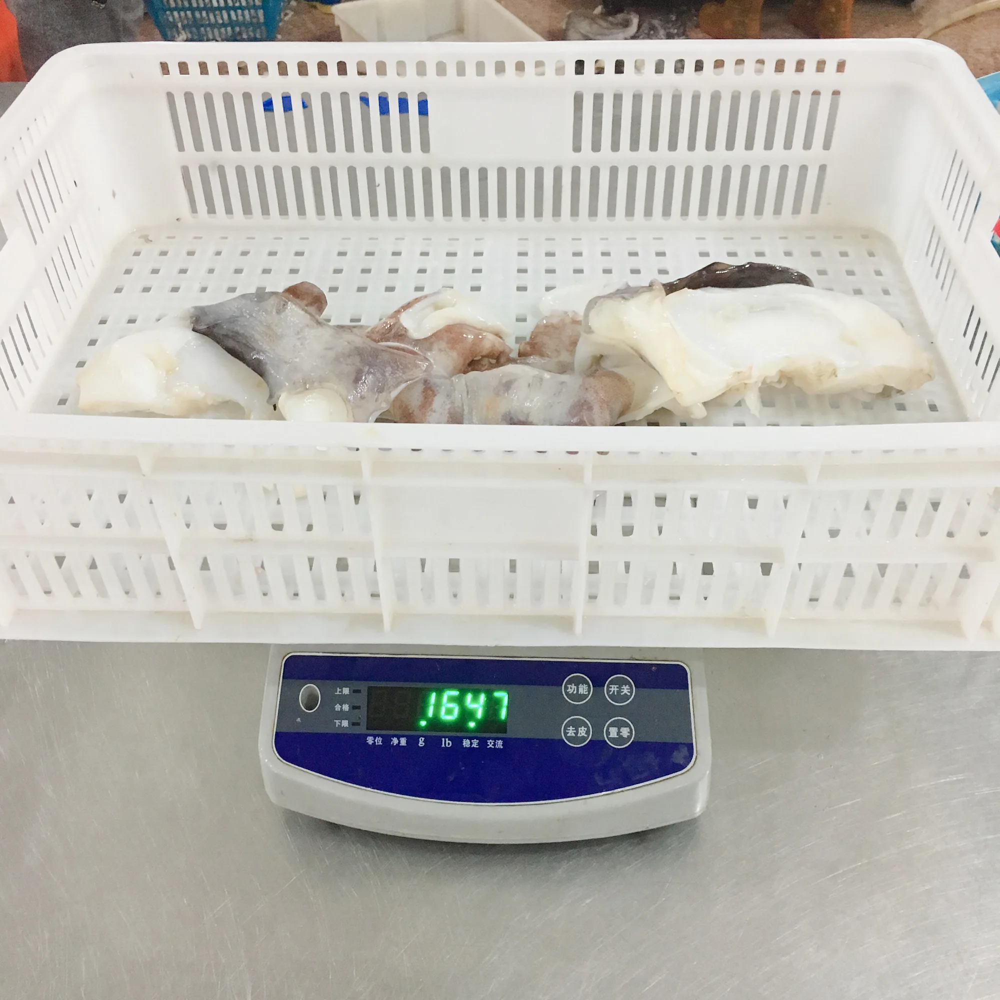 
Frozen Peru Giant Squid Neck Indian Ocean Squid Neck The Butterfly Shape 