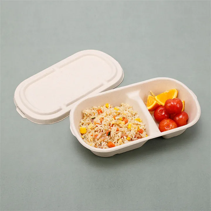 Factory Direct Supply Cheap Paper Box With Lids Disposable Food Container Biodegradable Paper Sugarcane