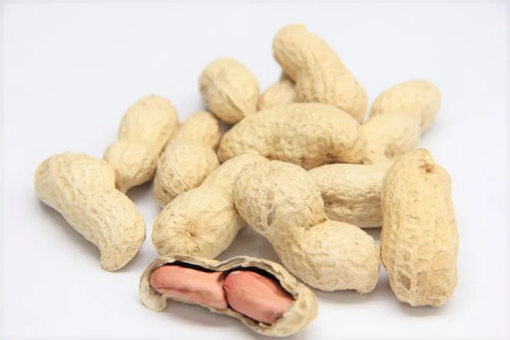 raw dried peanuts in shell