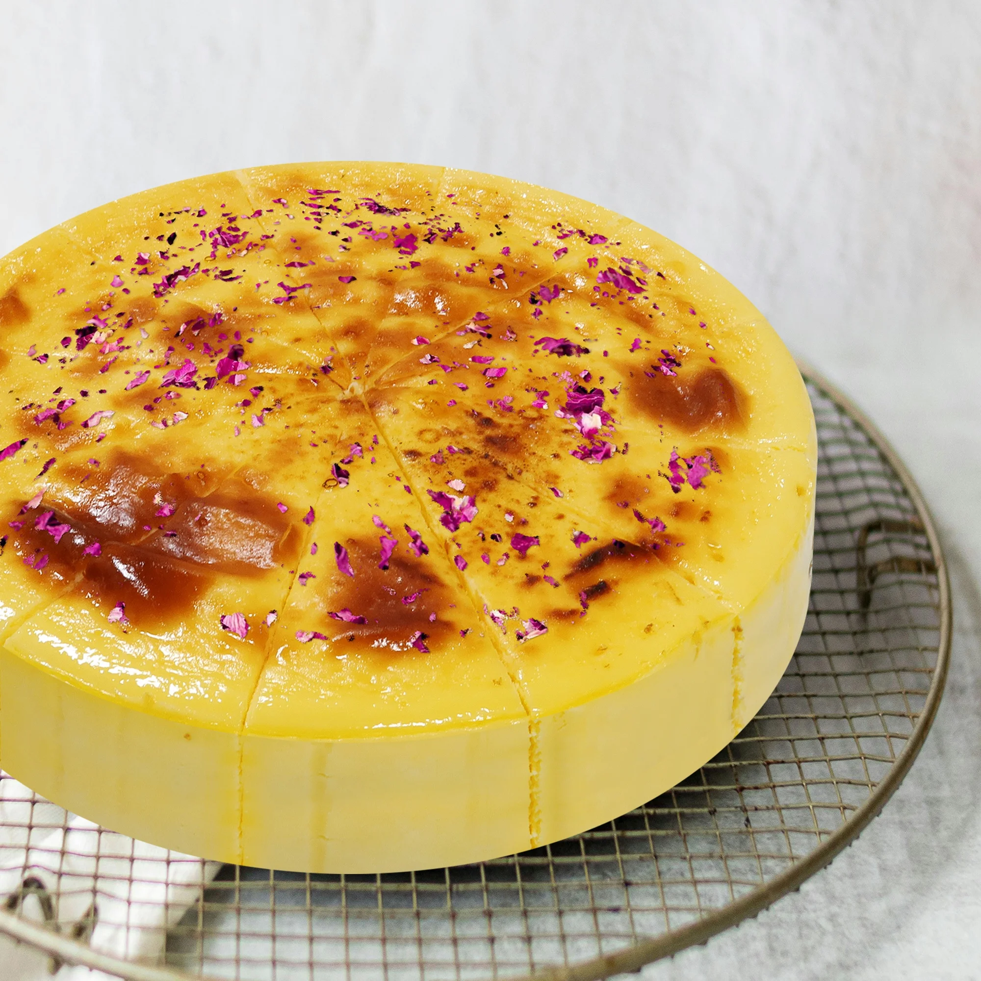 Rose Basque 8 inches Animal Cream Dessert Birthday Party Cafe