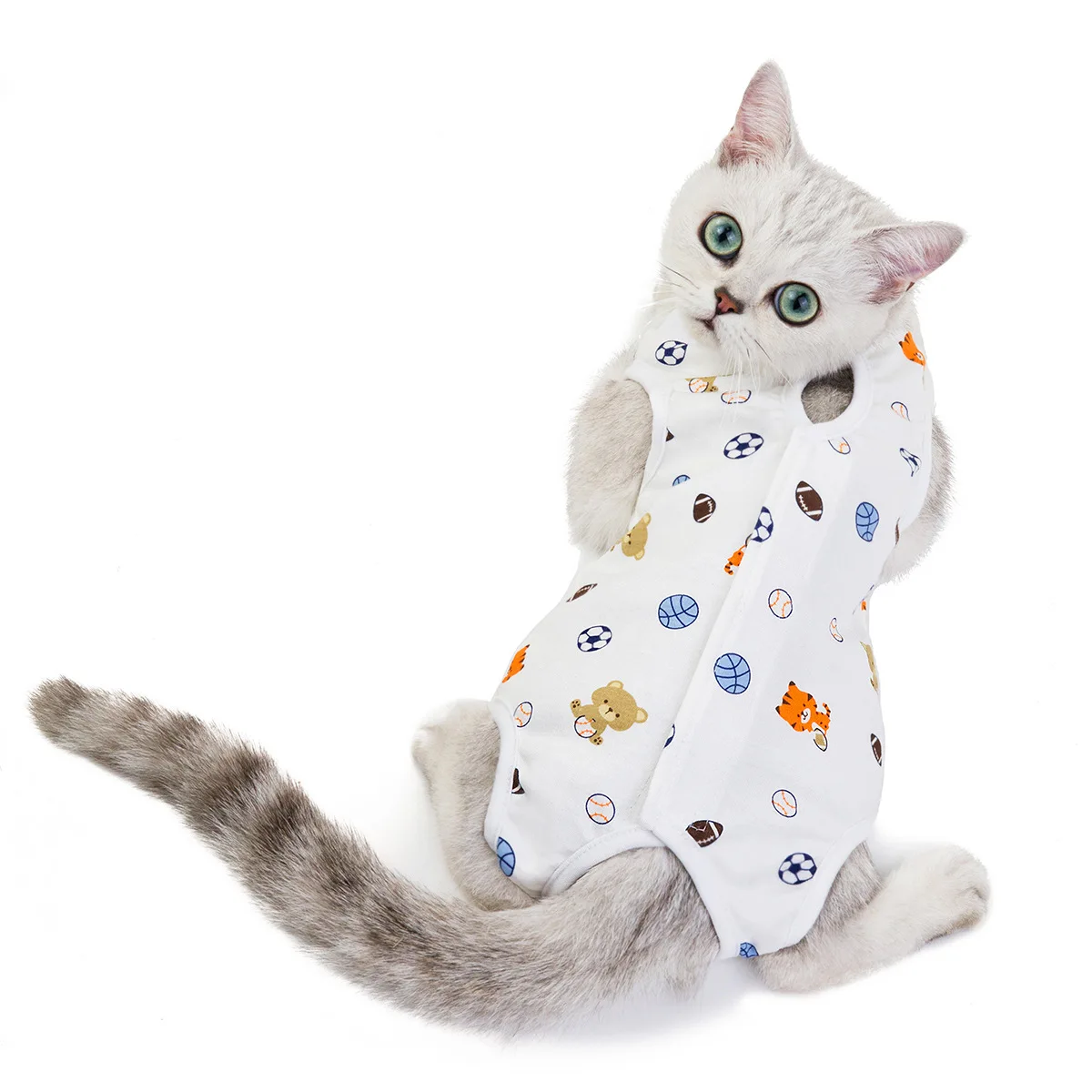 Kitten spay/Neuter kitten postnatal/Spring/Summer kitten scrubbing suit anti-lick weaning
