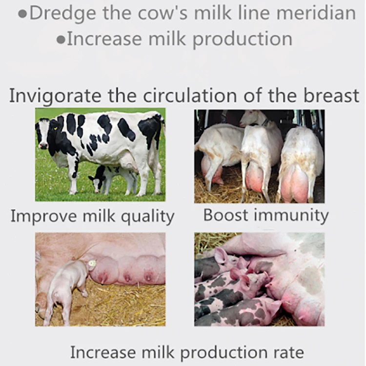 chicken feed premix liver protective poulty feed for chicken liver