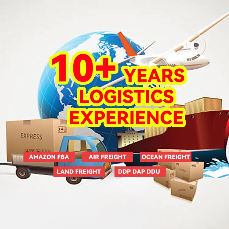 Specialty logistic agent in china Air Express morocco logistics ddp service forwarding logistics services