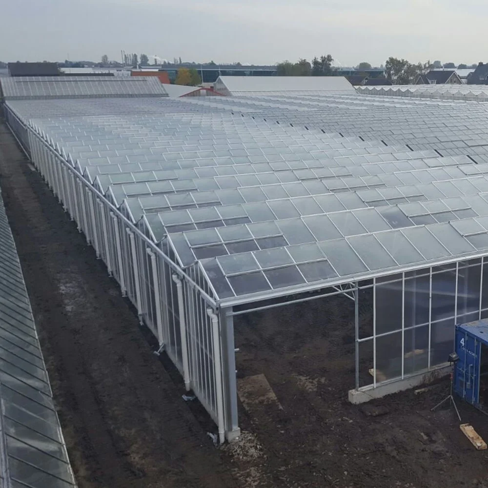 Теплица для сельского хозяйства с гидропонной системой Holland Big Span Venlo