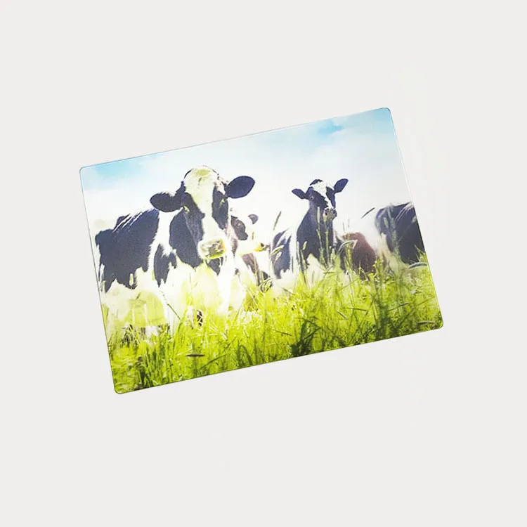 Sedex Audit Factory Supply Good Quality Custom Print Eco-friendly Plastic Lenticular 3D Holographic Postcard