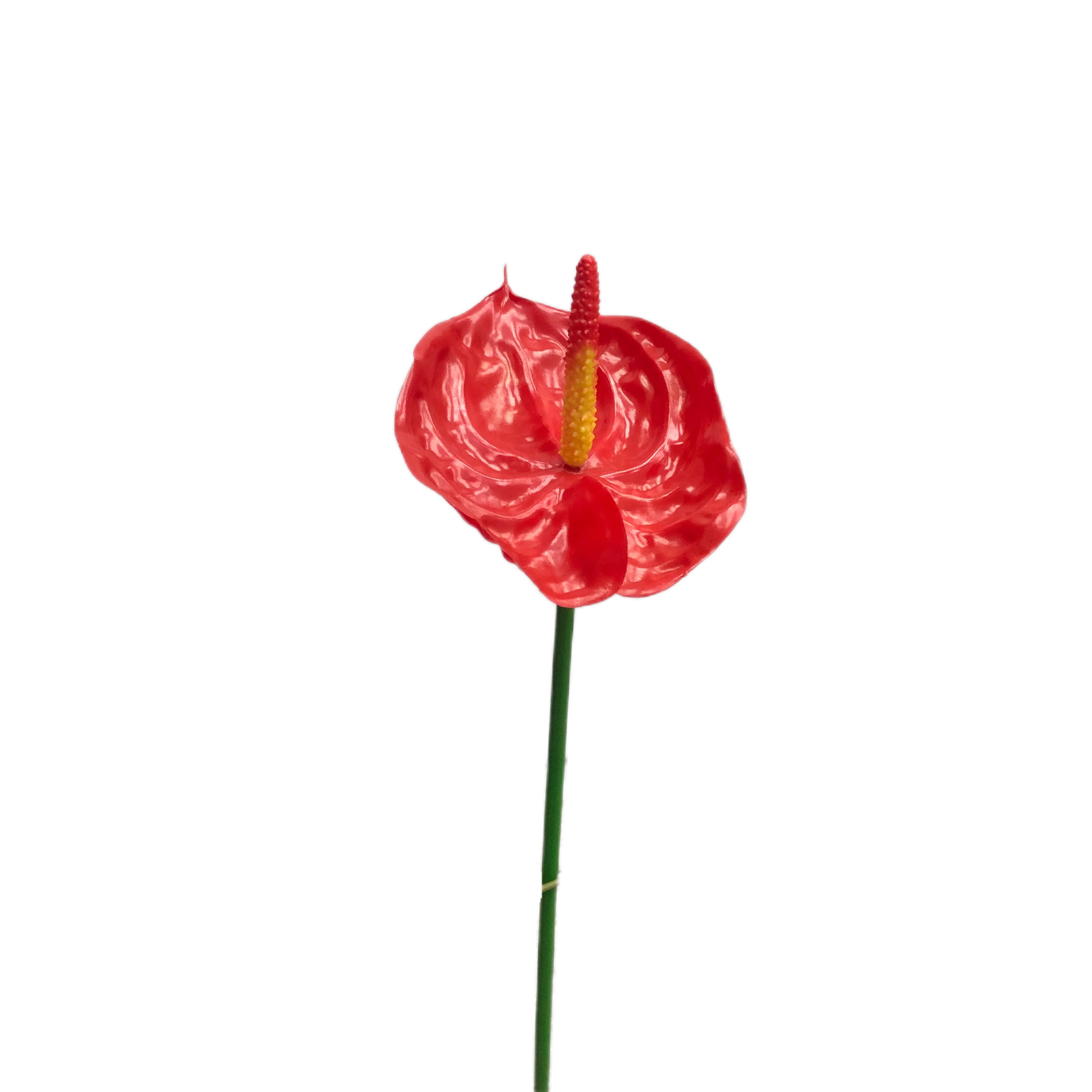 Real Touch Soft Pvc Eco-fashion Anthurium Artificial Flower Manufacturer
