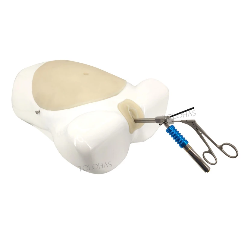 LHPA88 Hospital Training Equipment High Simulation Laparoscopy Simulator Teaching Model