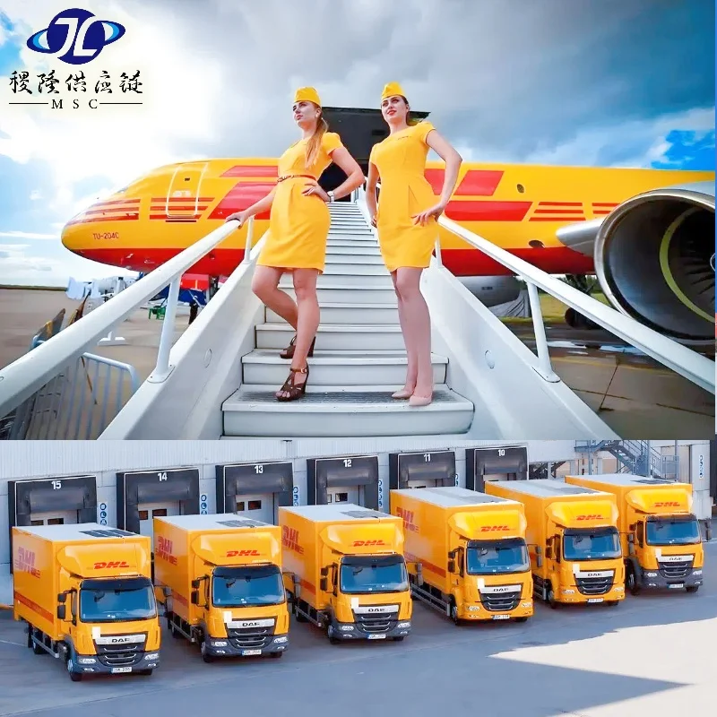 TOP3 Fedex DHL UPS агент по доставке из Китая в Непал-Бхутан Мальдивские острова fright forward Прямая поставка экспедитор